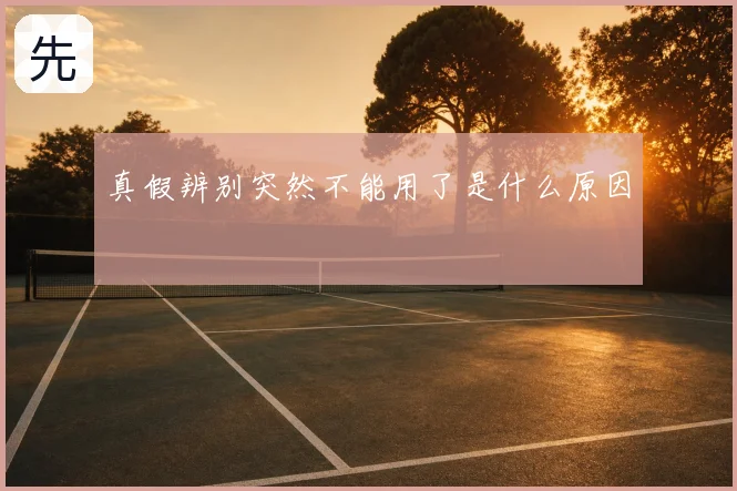 真假辨别突然不能用了是什么原因