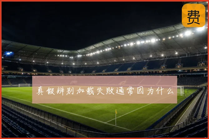 真假辨别加载失败通常因为什么